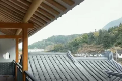 西华楼屋瓦15b